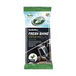 Turtle Wax FRESH SHINE SPRING GLOSS WIPES салфетки для салону "Свежесть весны' глянцевые (упаковка 24 шт)