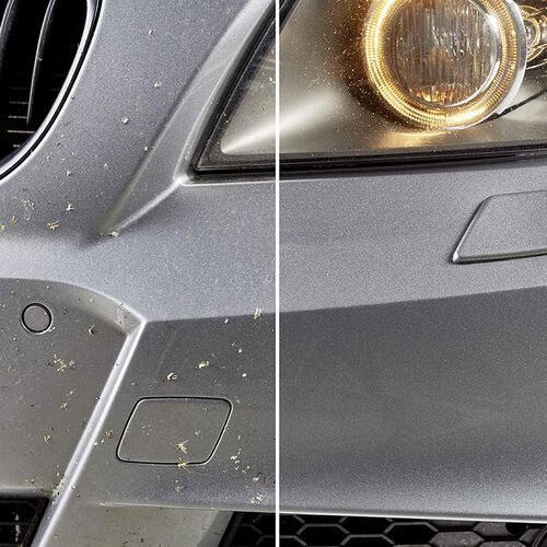 SONAX Insekten Star 233400