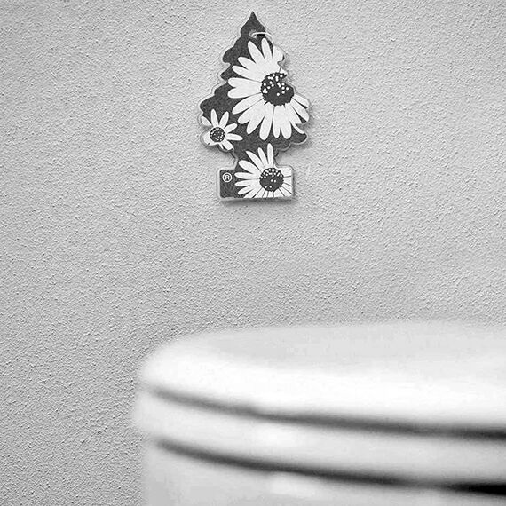 Little Trees Steel Pure Air Freshener ароматизатор ёлочка с запахом стальной свежести, изображение 6